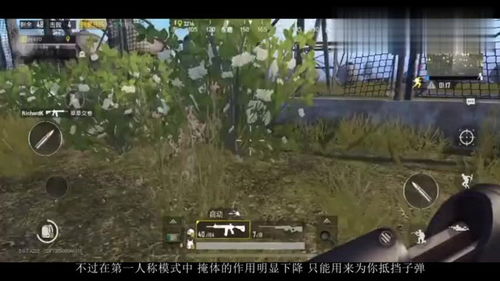 第一人称,第二人称,第三人称分别指什么?