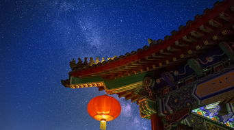 凤阁龙楼打一动物，龙楼凤阙不肯住什么意思