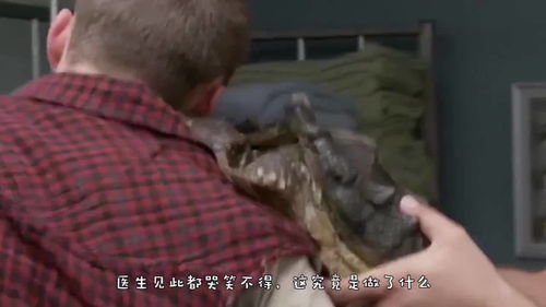 生拉硬拽的近义词，生拉硬拽表情包