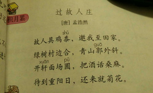 “诗”字的含义是什么?