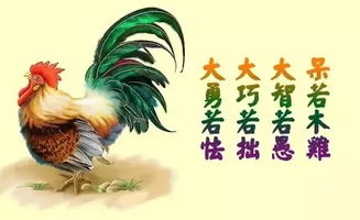 别人说我大智若愚什么意思，我明明是大智若愚什么意思