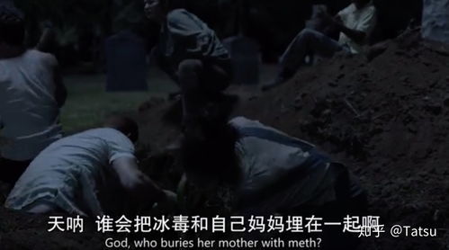 弥留什么意思