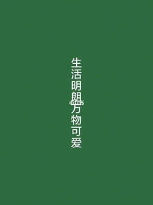 明朗花戎，明朗之靴