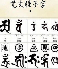 种子字口诀练书法视频，种子字是什么意思啊