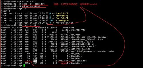 describe怎么读