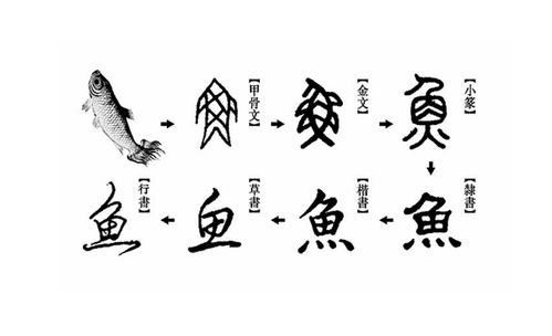 应和读音是什么意思，应和读音相同一项