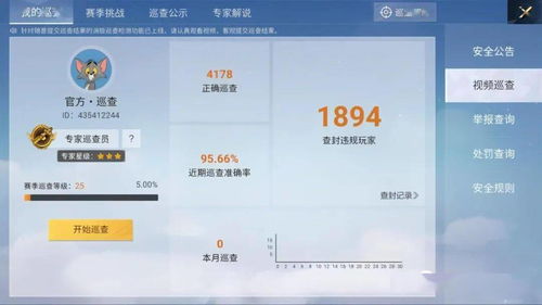 巡查是什么意思