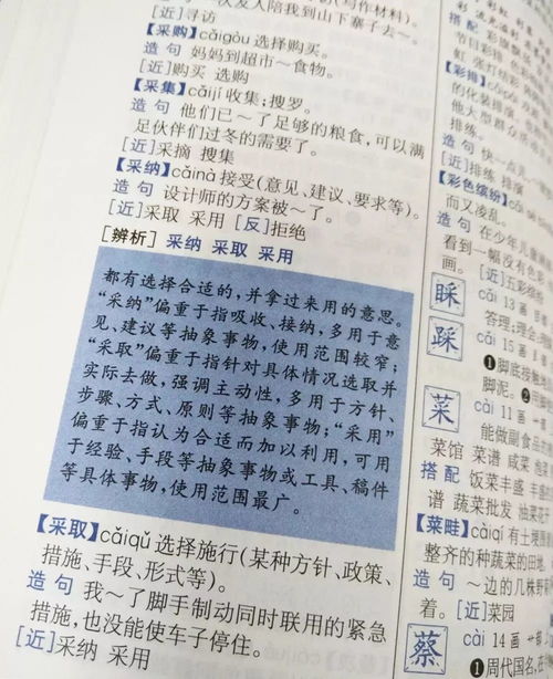 解释的释怎么组词语，释的组词到底是什么呀