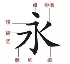 斗的笔顺