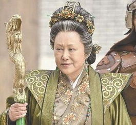 百岁挂帅佘太君的生平简介?