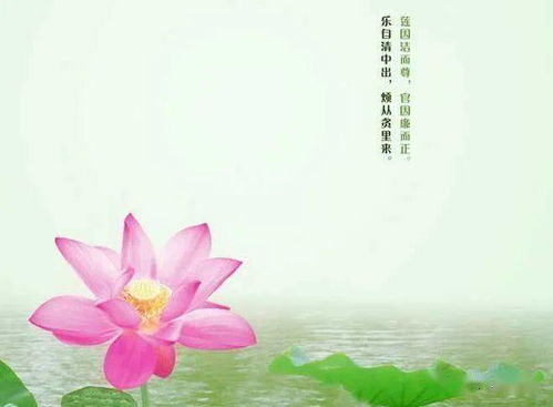 心念是什么意思?