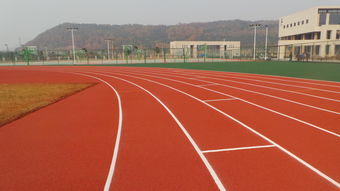 跑道用什么材料，跑道颜色