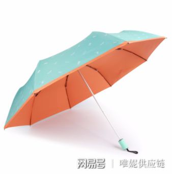 一把太阳伞的英文，一把伞是什么生肖