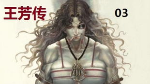 王芳传解读，王芳传的作者