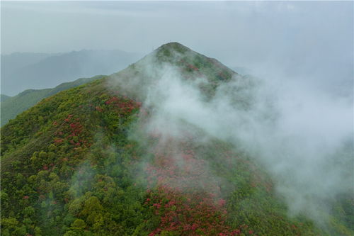 凫山怎么读