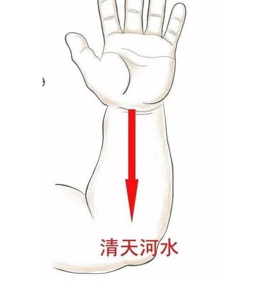 疱怎么读，疮痍怎么读