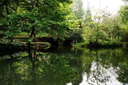 溪的意思是什么溪怎么读音