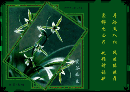 网名空谷幽兰是什么意思，空谷幽兰是什么意思打一生肖