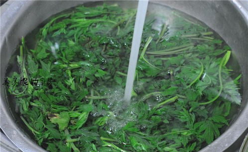 蒿菜怎么炒好吃，蒿菜要焯水吗?