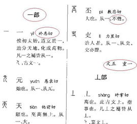 转的形旁是什么意思，漂的声旁和形旁是什么意思