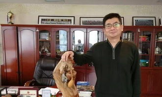 朱彬清华大学，朱彬紫砂壶