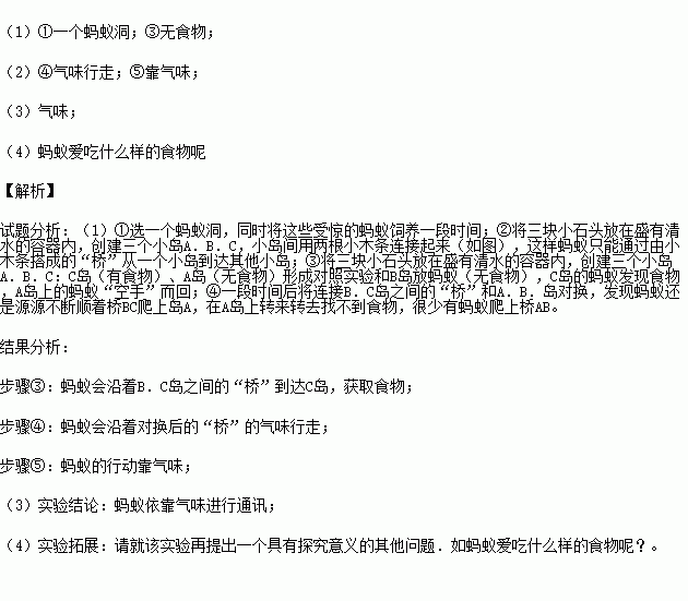 蚂蚁的拼音是什么