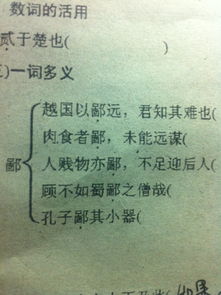 肉食者鄙的鄙什么意思是本义，肉食者鄙,未能远谋
