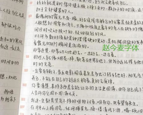 注释的释怎么组词