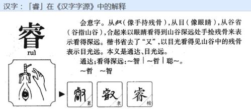 睿怎么写