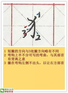 态的拼音组词部首