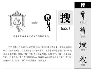搜组词有哪些词语