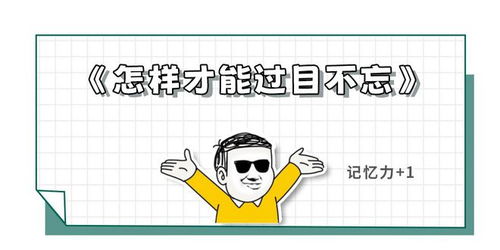 过目不忘的意思