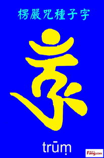 如何写好书法的种子字?
