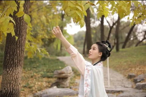娉娉袅袅是什么意思?