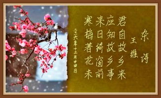 龚自珍己亥杂诗的意思，杂诗的意思及翻译
