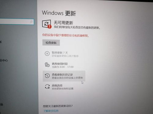 应合的意思和拼音，应合是近义词吗