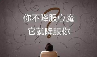 戒有多少读音