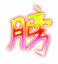 膀的笔顺和拼音，翅膀的膀的笔顺