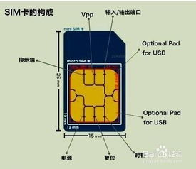 消耗大卡是什么意思，孕期建大卡是什么意思
