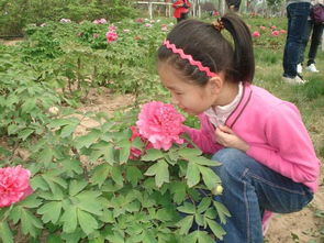 芬芳扑鼻的意思