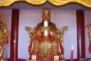 祗怎么读音