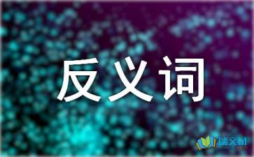 批评的反义词是什么?