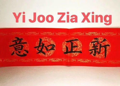 新正的意思是什么，正新的含义