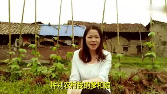真淳雅，元好问一语天然万古新,豪华落尽见真淳