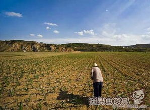什么大地成语二年级，什么大地四字成语二年级下册