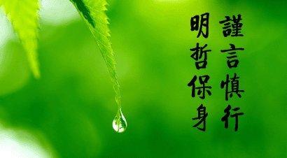明哲保身什么意思