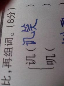 姨组词拼音，娇组词