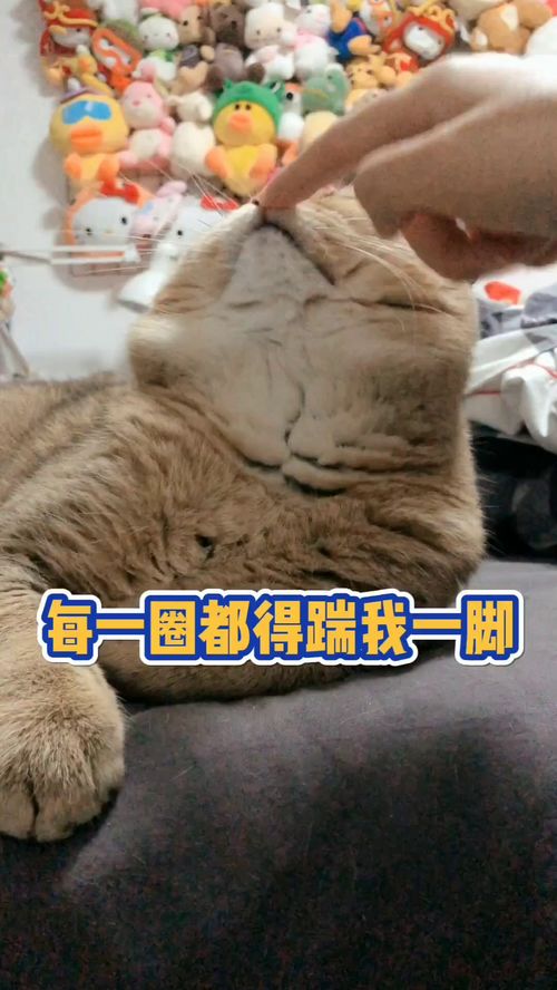 不服气意思解释