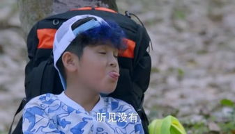 馊主意英文，馊主意的馊是什么意思