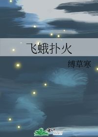 二月二十二号是什么星座，二月二十九号几年一次